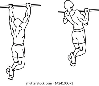 Australian Pullup Workout Illustration Stock Vector (Royalty Free ...