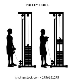 Pulley curl exercise illustration silhouette on the white background. Vector illustration