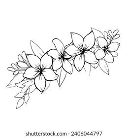 Pulmeria flower vector continuous line art