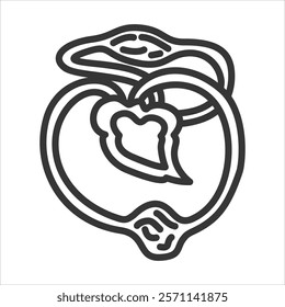 Pulmonary Circulation Icon Vector Illustration Outline