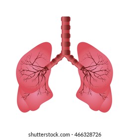 pulmonary system isolated icon vector illustration design