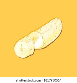 the pulp of the banana and slice in vector illustration