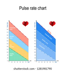 Pulse rate chart for healthy lifestyle. Maximum heart rate. Healthy heart, weight management, aerobic and anaerobic zone. maximum heart rate by age. Vector illustration for education and medical use