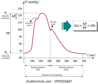 Pulse Wave And Augmentation Index