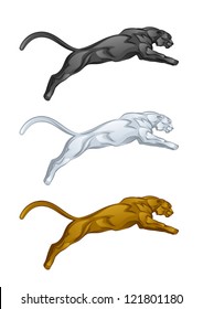 Puma