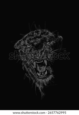 puma animal vector scribble art poster