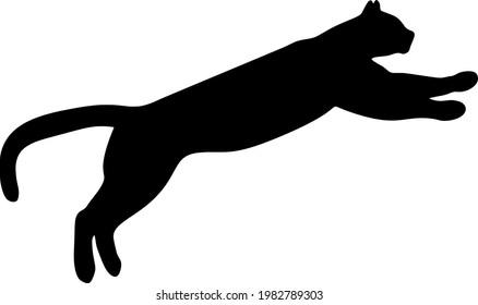 Puma  big  jumping. Vector image.