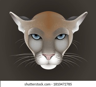 Puma, cougar, mountain lion, catamount portrait isolated on dark background, front view, colorful vector illustration with grainy texture