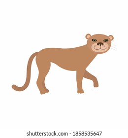 Puma cougar or mountain lion. Vector illustration isolated on white background.