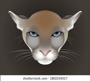 Puma, cougar vector portrait isolated on dark background