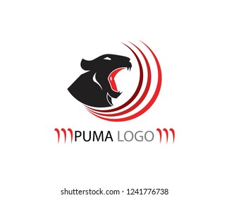 Puma head icon logo template 
