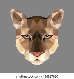 Puma Head polygon stylization. Vector illustration.