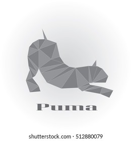 Puma icon - vector illustrator