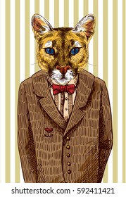 Puma in a jacket. Vector illustration for greeting card, poster, or print on clothes. Fashion Style drawing. Hipster.