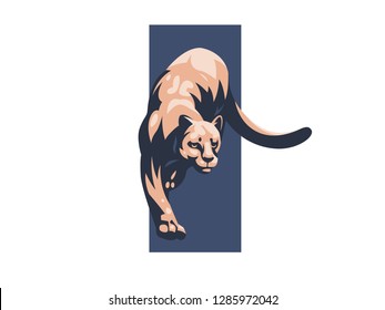 Puma or lioness sneaks on its paws. Vector illustration.