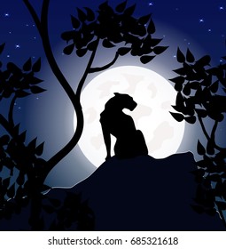 Puma on the background of the moon, night, silhouette  panther on the mountain