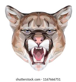 Puma polygonal portrait