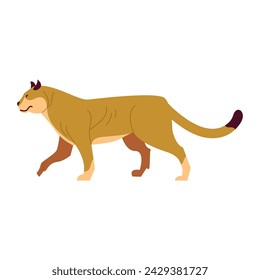 Puma Predator Animal Cartoon Style Illustration