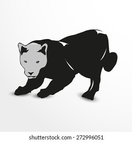 Puma. Vector illustration. Animal collection.