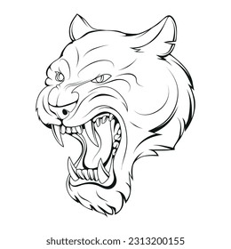 Puma. Vector illustration of a sketch cougar.  Roaring american mountain lion wild cat head. Sport team puma mascot, mountain lion animal