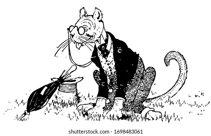 Puma, vintage engraved drawing illustration