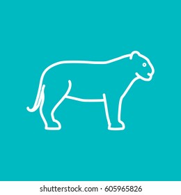 Puma web line icon.