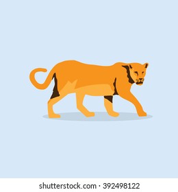 Puma, Wild Animals
