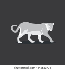 Puma, Wild Animals