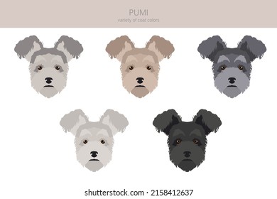 Pumi clipart. Different poses, coat colors set.  Vector illustration