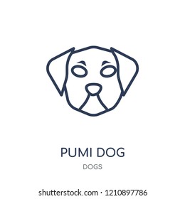 Pumi dog icon. Pumi dog linear symbol design from Dogs collection. Simple outline element vector illustration on white background.