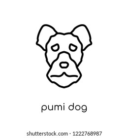 Pumi dog icon. Trendy modern flat linear vector Pumi dog icon on white background from thin line dogs collection, editable outline stroke vector illustration