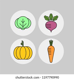 Pumkin, carrot, cabbage, beet flat vector icons