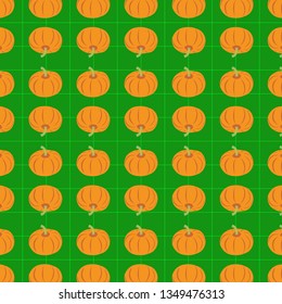 pumkin cartoons on lines pattern vector illustration