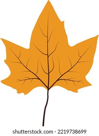 Pumkin leaf vector art work