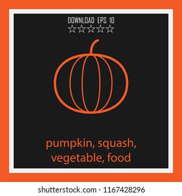 pumkin, squash, vegetable, food  vector icon