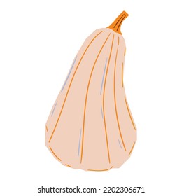 Pumkin for Thanksgiving Decorative Element. Vector isolated illustration.