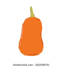 Pumkin für Thanksgiving-Dekorative Elemente. Vektorgrafik einzeln.
