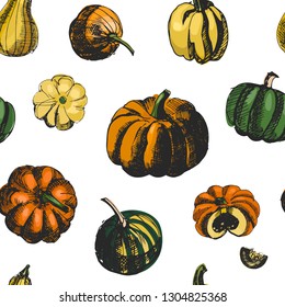 Pumkin vector seamless pattern. Sketch illustration. Vintage ink hand drawn collection of pumpkin, isolated on white background.Great for fabrics, wallpaper,packaging.