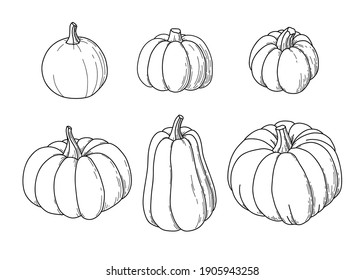 Pumkins. Vegetable set.  Doodle outline vector illustration.