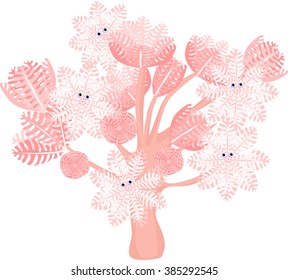 Pumping Xenia Coral