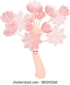 Pumping Xenia Coral