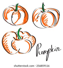  pumpkin