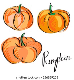  pumpkin