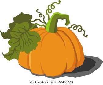 Pumpkin