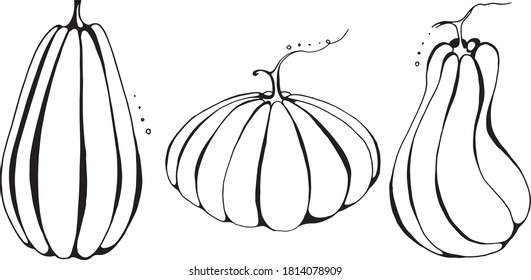 Calabaza 3 formas diferentes de blanco negro en estilo doodle. Elementos de Acción de Gracias y Halloween.