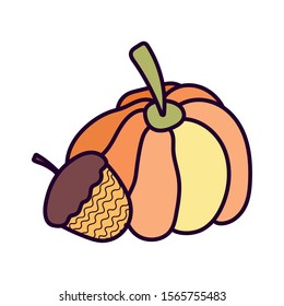 pumpkin and acorn on white background vector illustration