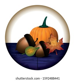 Pumpkin, acorns and autumn leaves in a button - Vector