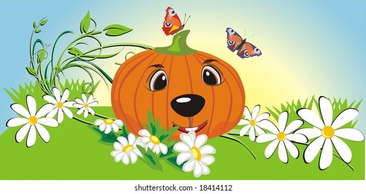 Pumpkin among chamomiles and butterflies. Vector