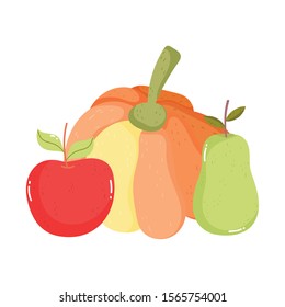 pumpkin apple and pear on white background vector illustration