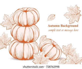Pumpkin autumn background. Vector Line art hand drawn graphic style illustrations
